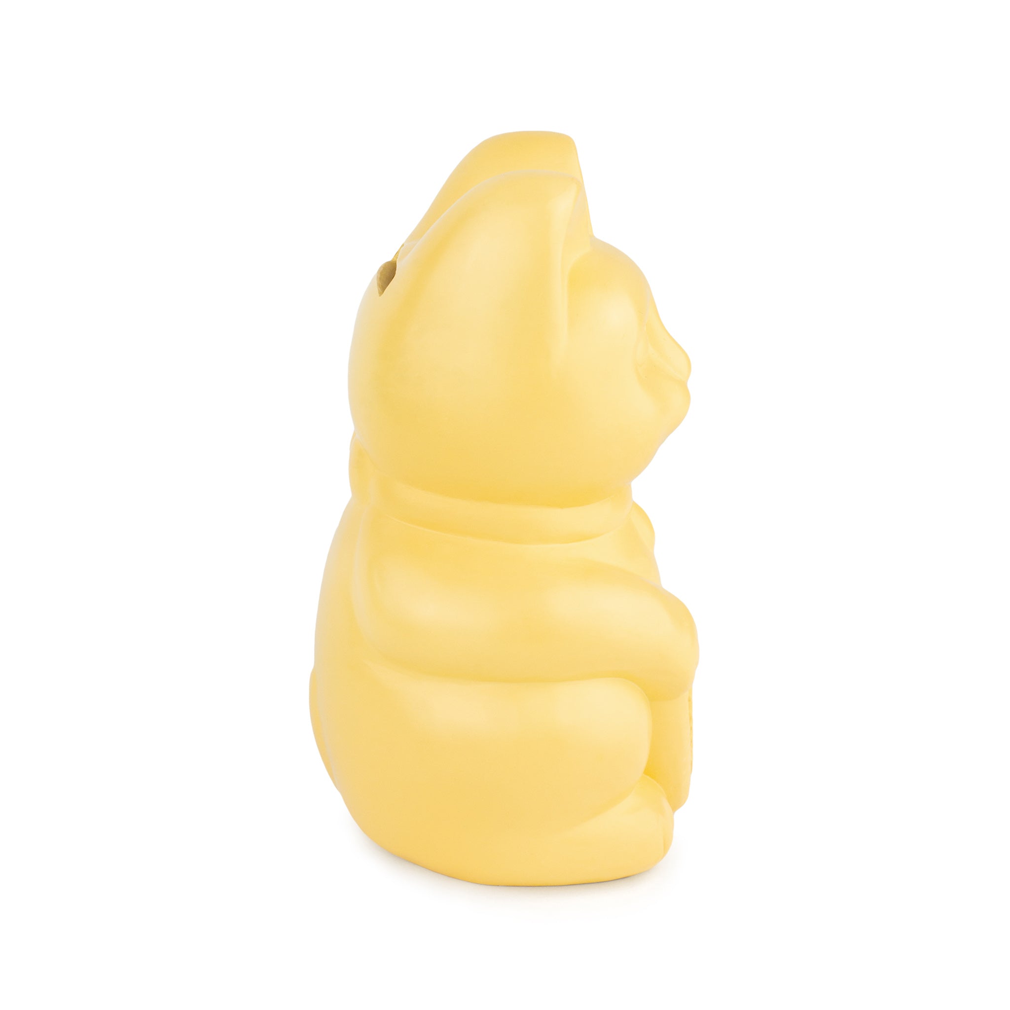 Lucky Cat Money Box