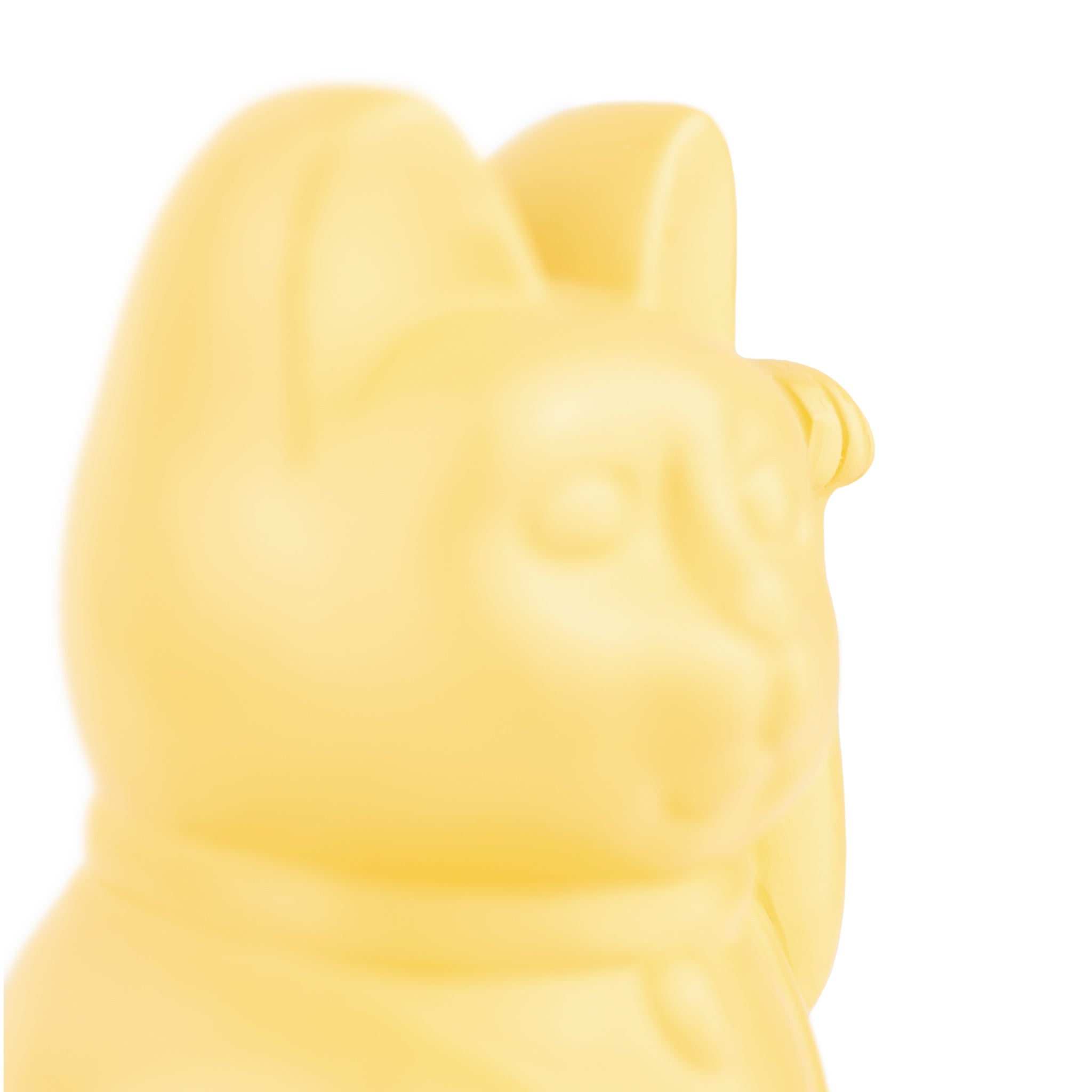 Lucky Cat Money Box