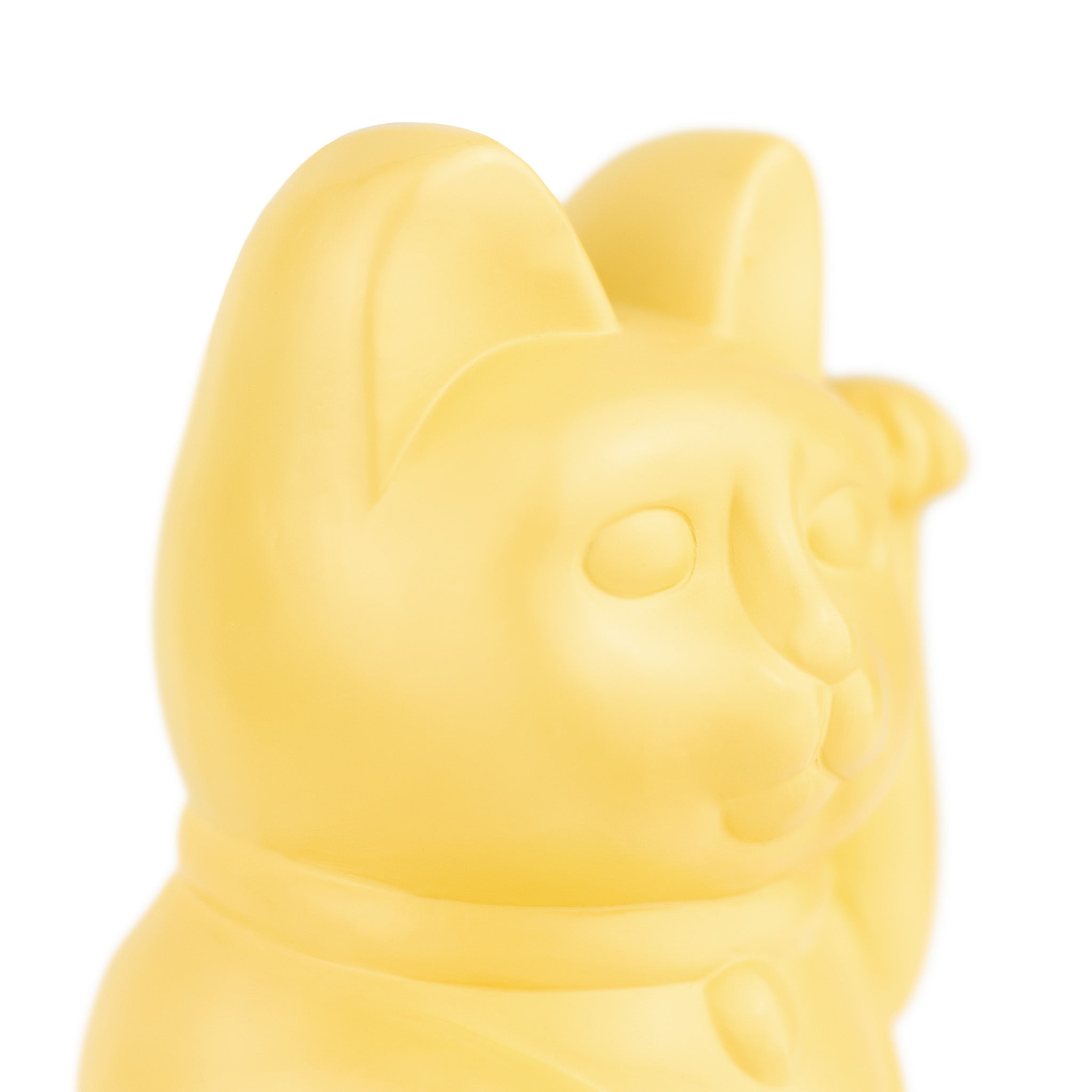 Lucky Cat Money Box