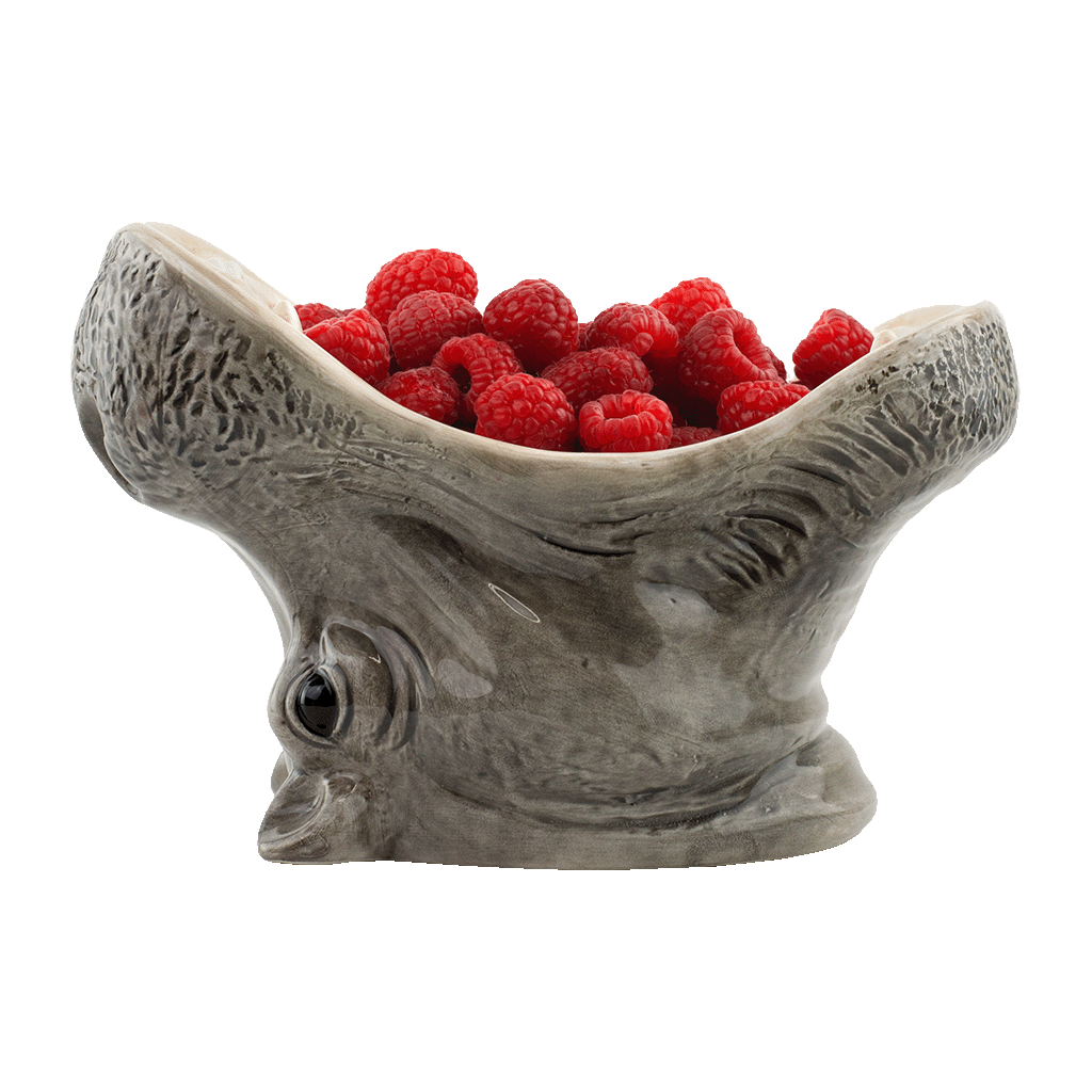Hungry Hippos Bowl