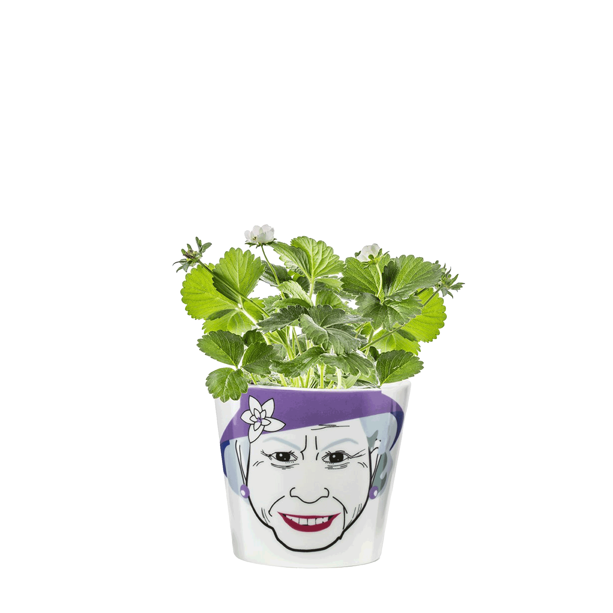 Flower Queen small